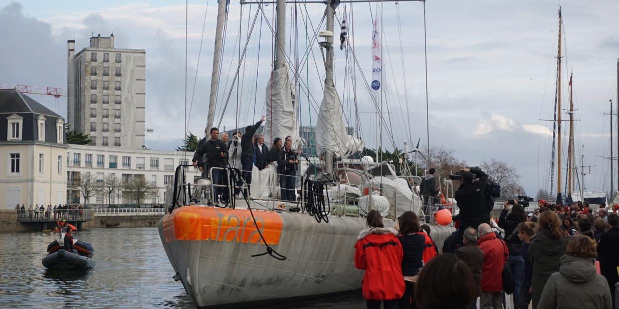 tara lorient