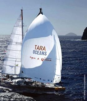 Tara