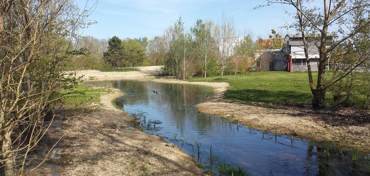 La zone accélératrice de biodiversité en sortie de station