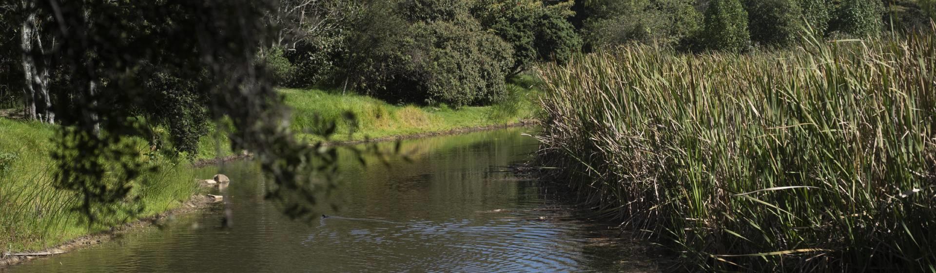 Cours d’eau en pleine nature