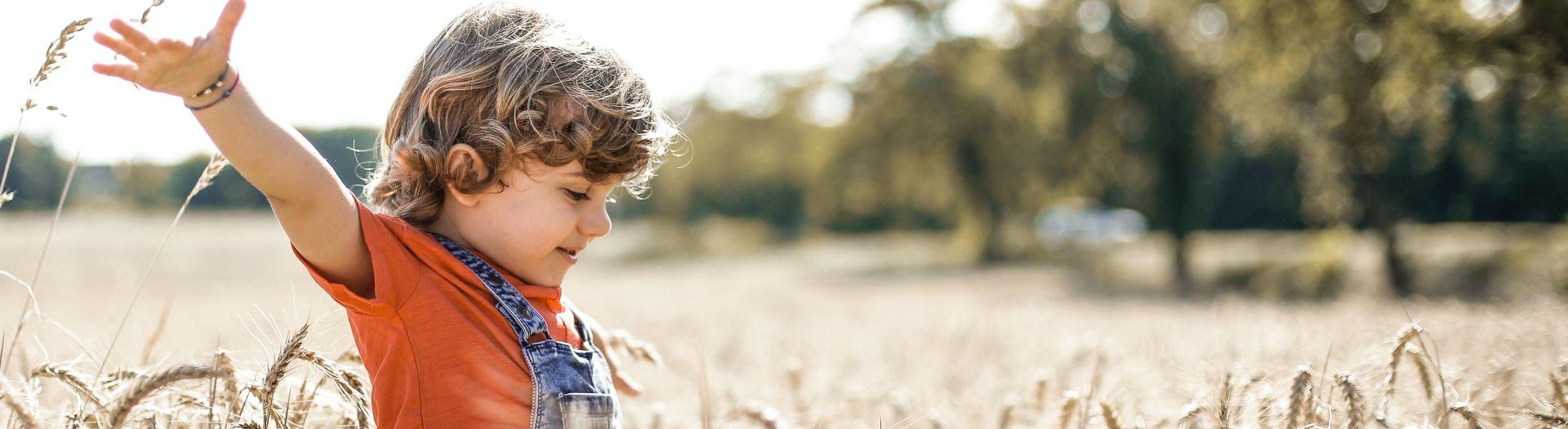 jeune enfant dans un champ de blé