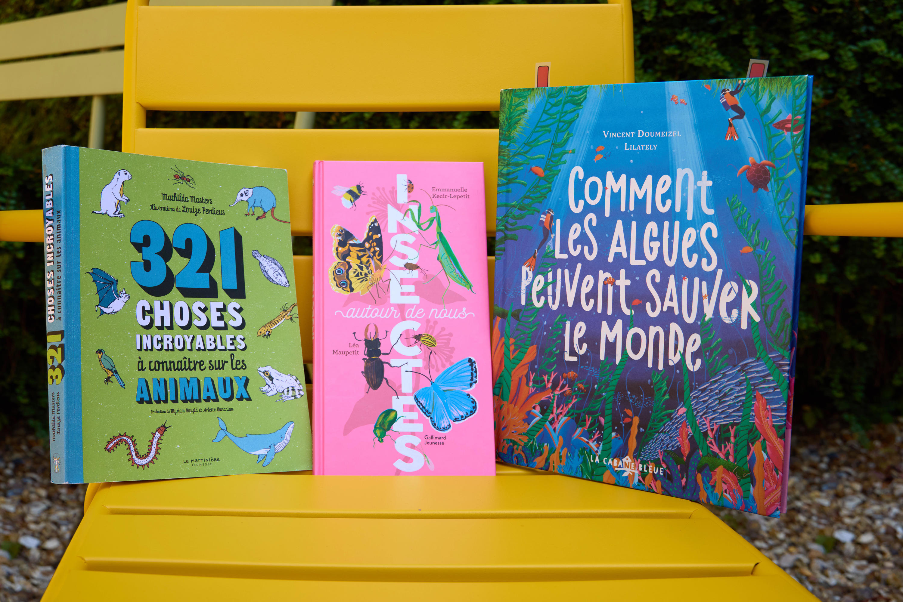 Les 3 ouvrages nommés pour la Mention Jeunesse 2025