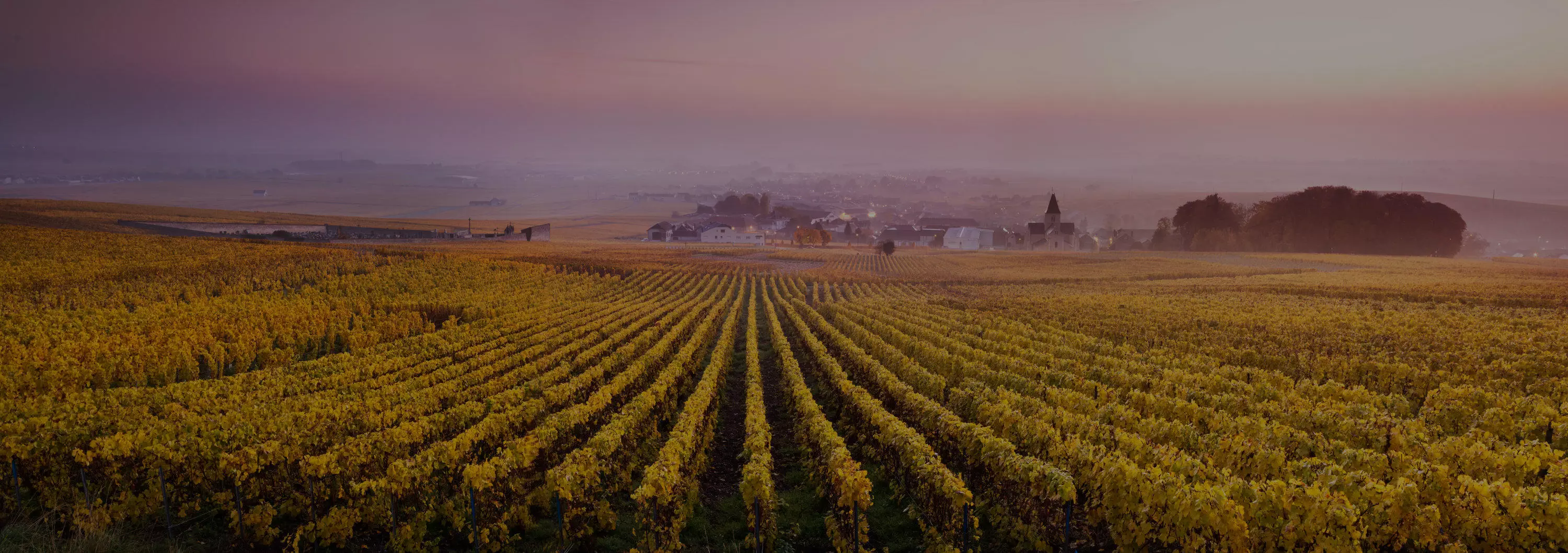 Champs agricole
