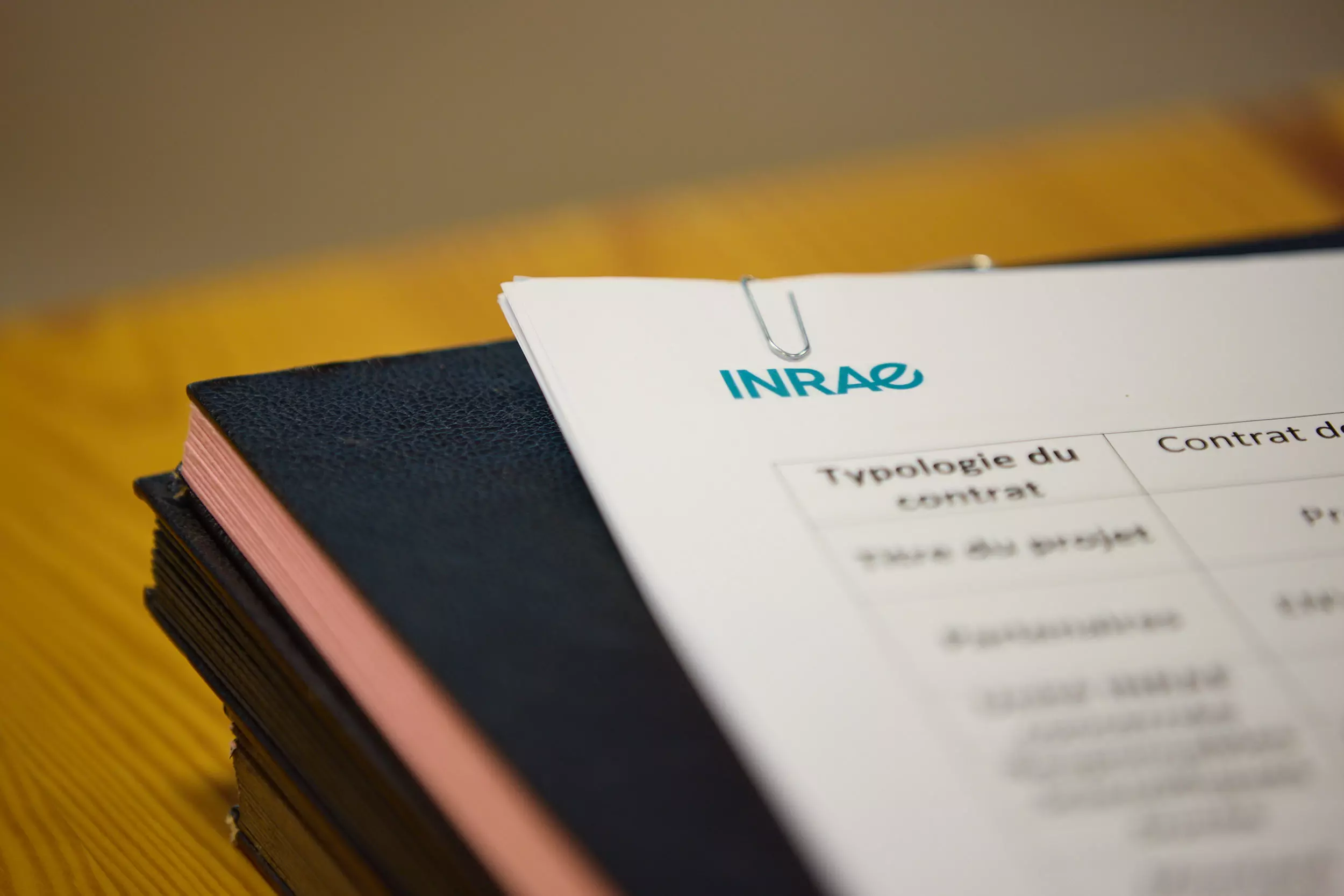 Veolia et INRAE renouvellent leur coopération face au défi des polluants émergents dans les composts