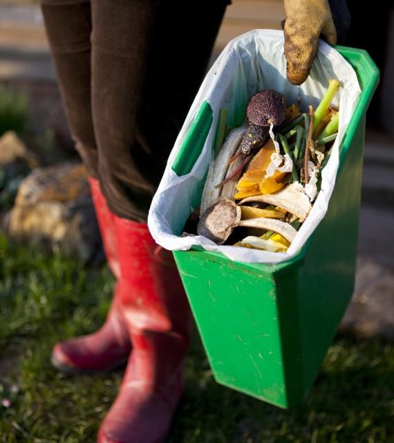 Image d’illustration d’un bac vert utilisé pour trier et valoriser les biodéchets dans le cadre d’une collecte en porte-à-porte