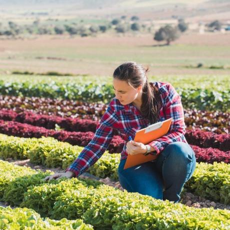 Formation ferme en micro-maraîchage