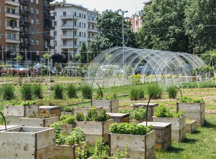 Serre jardin partagé