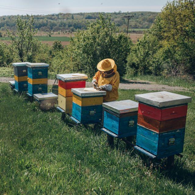 apiculteur près des ruches