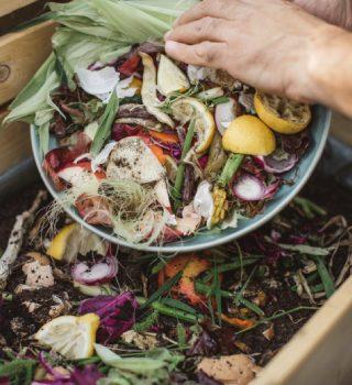 Compostage des épluchures de légumes