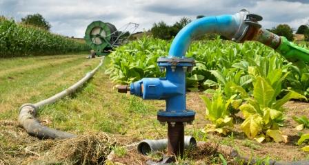 Exemple de la réutilisation des eaux usées épurées en agriculture pour l’irrigation