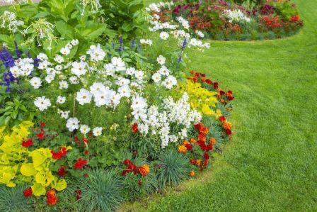 massif floral