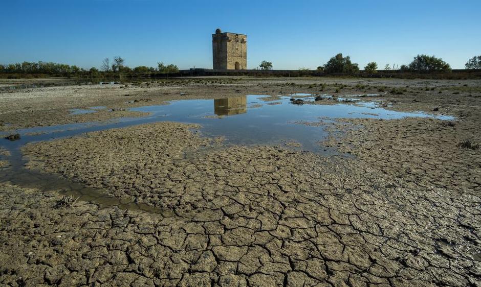 Image d'une étendue d'eau victime de la sécheresse