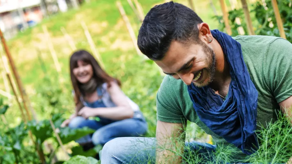 homme et femme dans un champ, agriculture urbaine