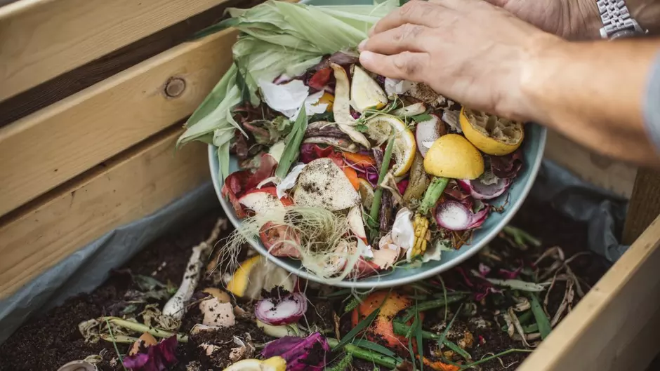 Photo d'une main déposant des déchets alimentaires dans un compost