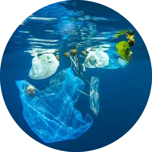 Déchets plastique dans l'océan