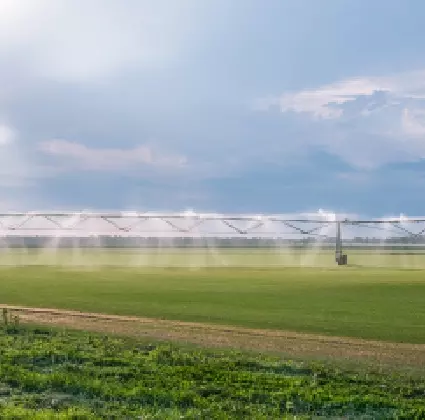 Irrigation champ agricole