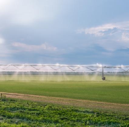 Irrigation champ agricole