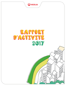 Rapport d'activité 2017