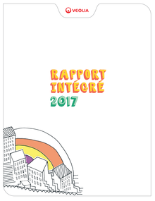 Rapport intégré 2017